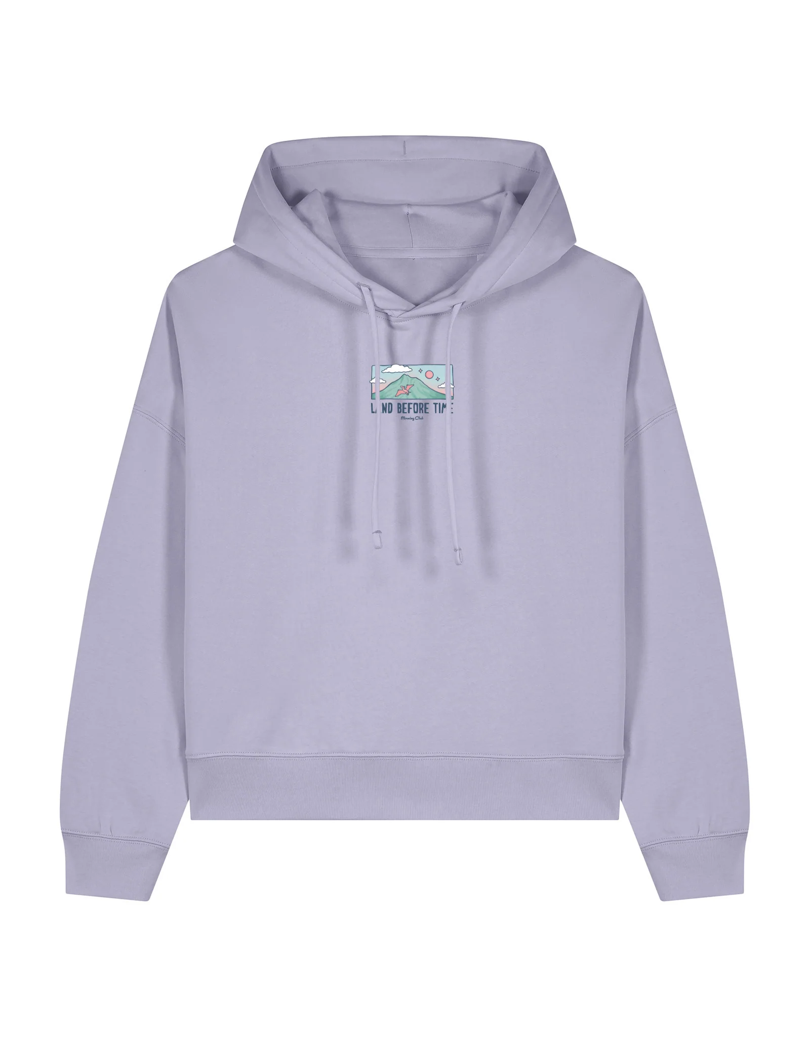 Dinosaurs Boxy Organic Cotton Hoodie - Image 8