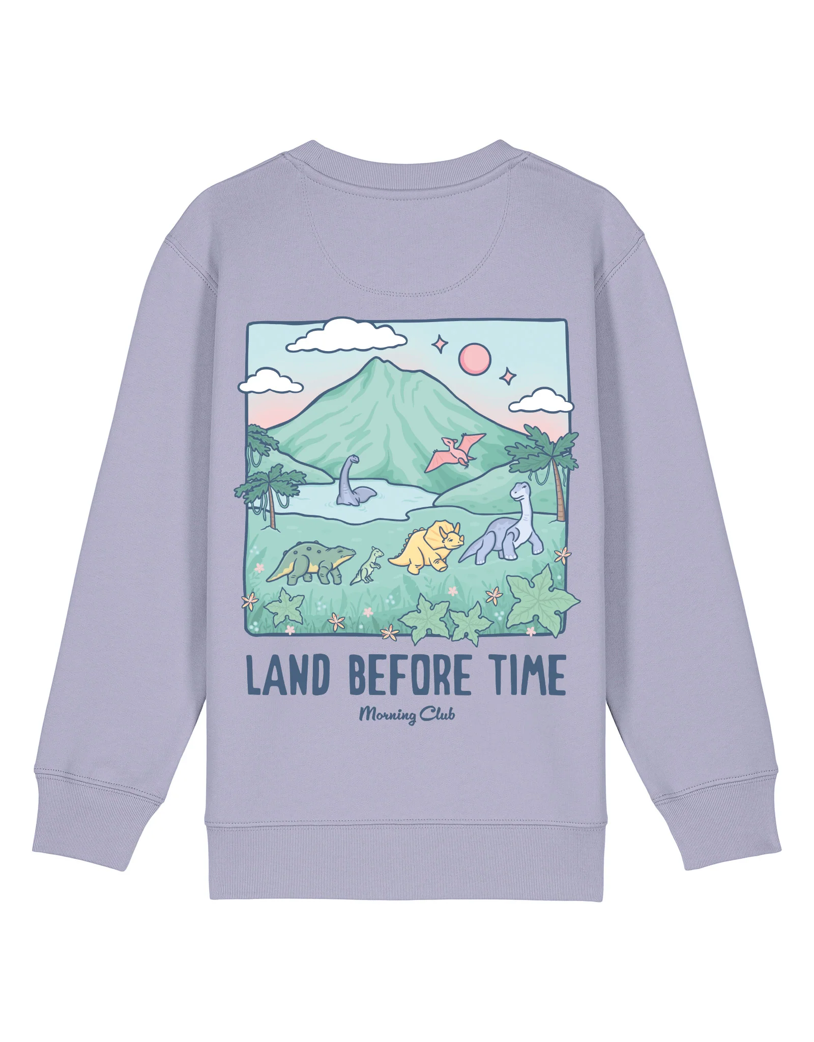 Dinosaurs Organic Cotton Childrens Sweatshirt - Image 8