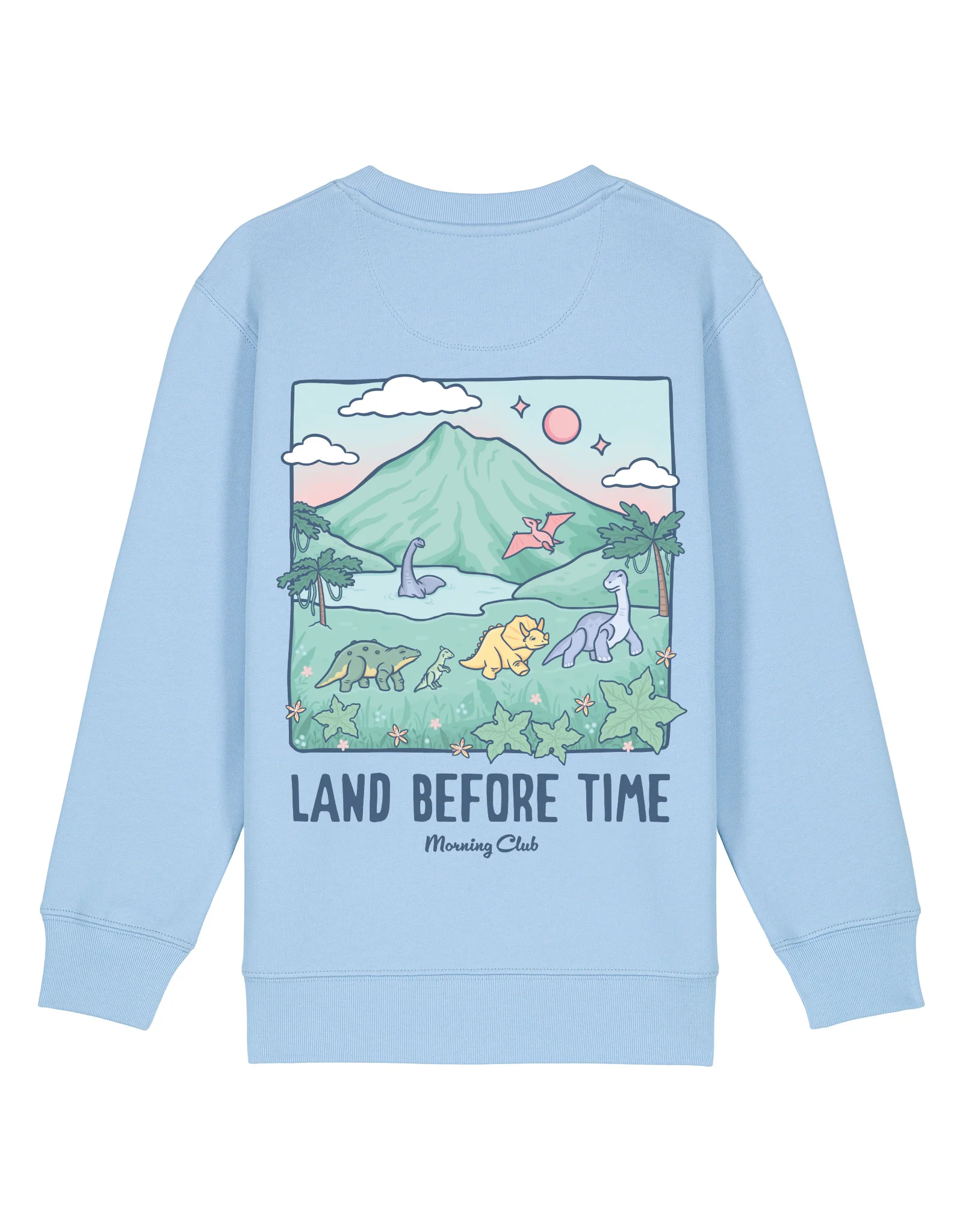 Dinosaurs Organic Cotton Childrens Sweatshirt - Image 9