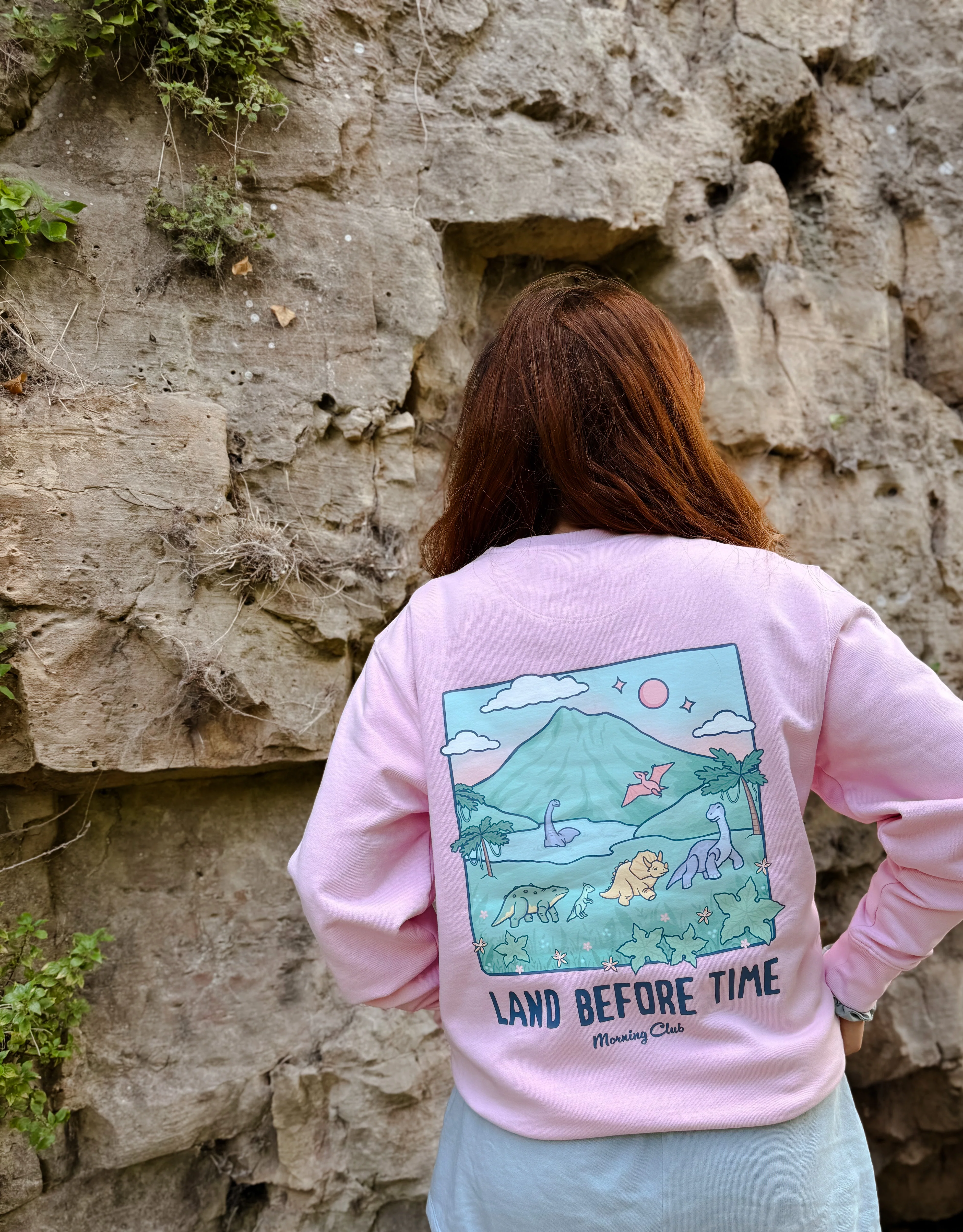 Dinosaurs Organic Cotton Sweatshirt - Image 5