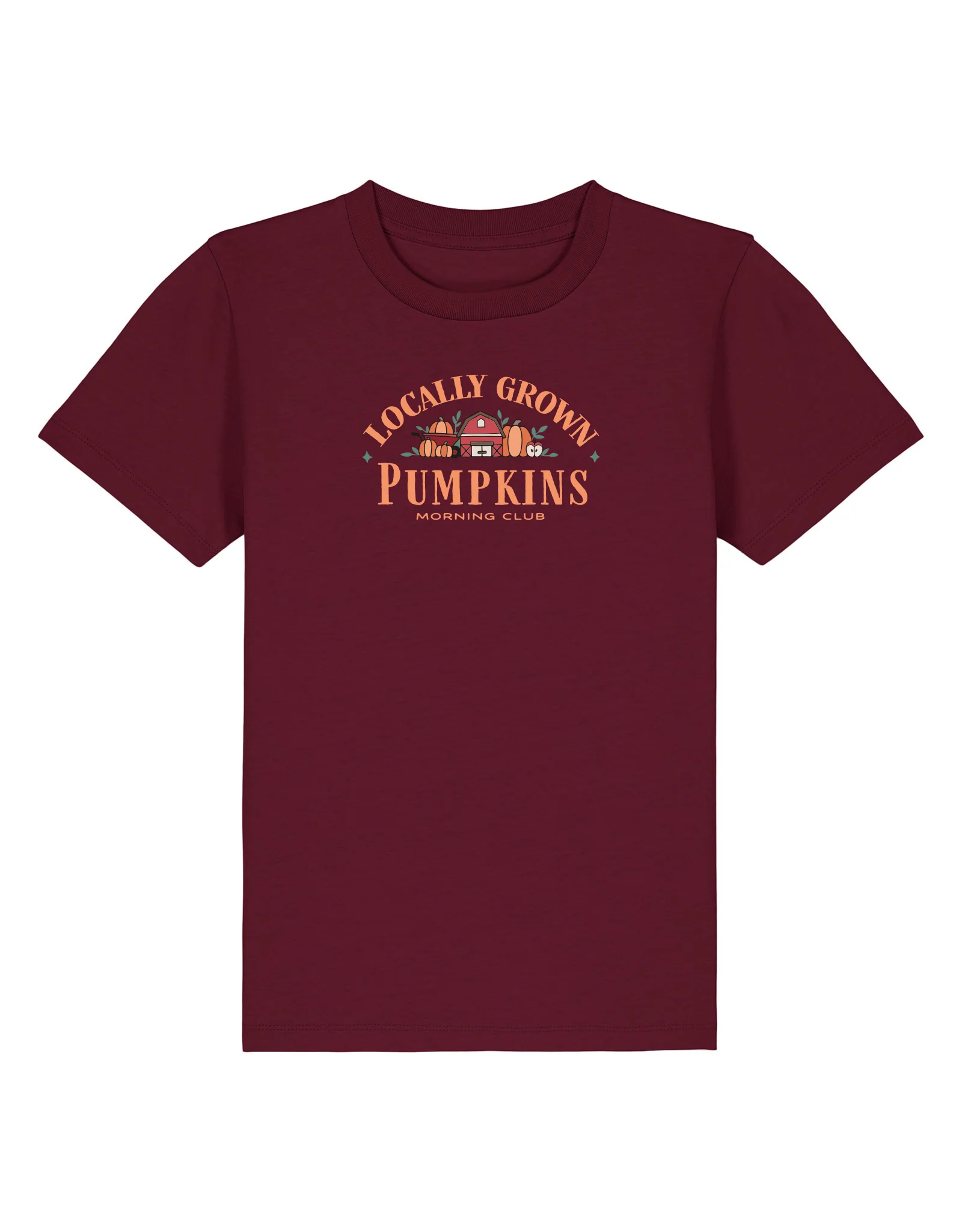 Pumpkins Embroidered Organic Cotton Childrens T-Shirt - Image 6